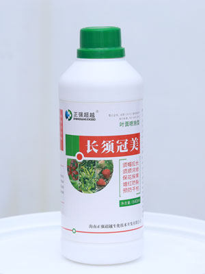 長(zhǎng)須冠美