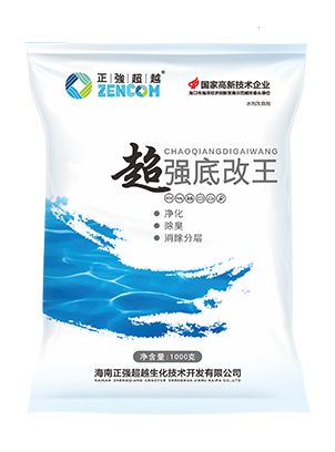 超強(qiáng)底改王